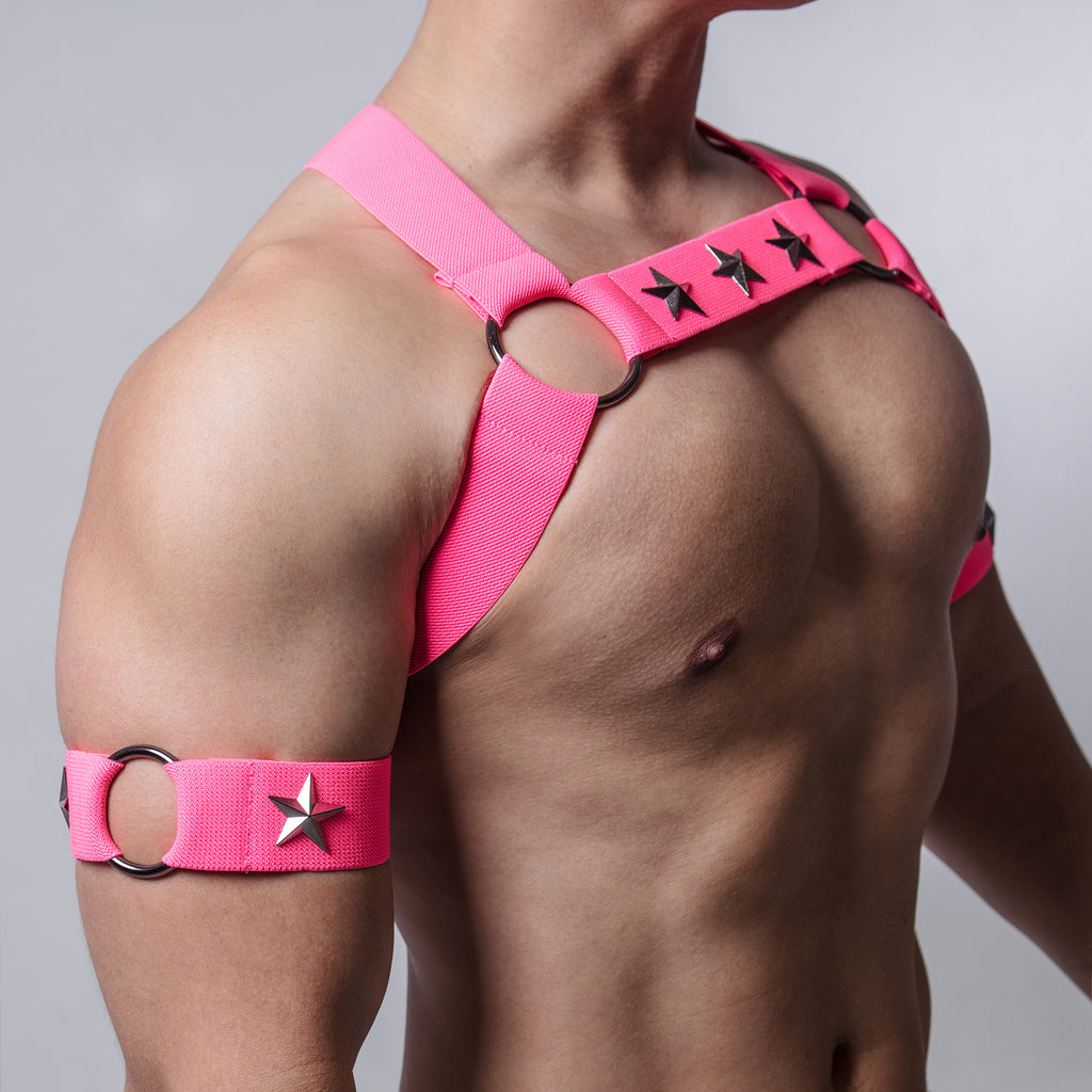 AJ Party King Classic Pink Harness