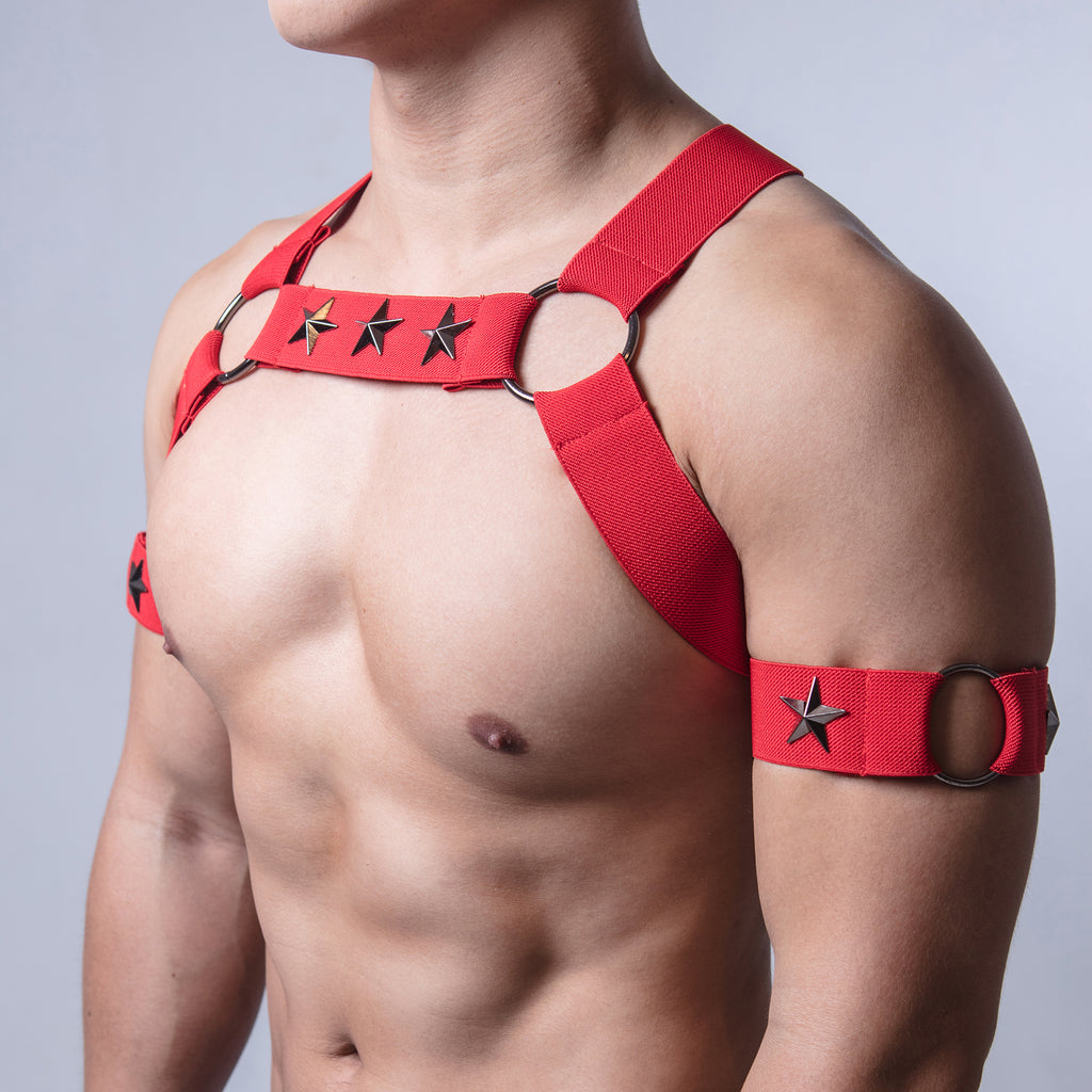 AJ Party King Classic Red Harness