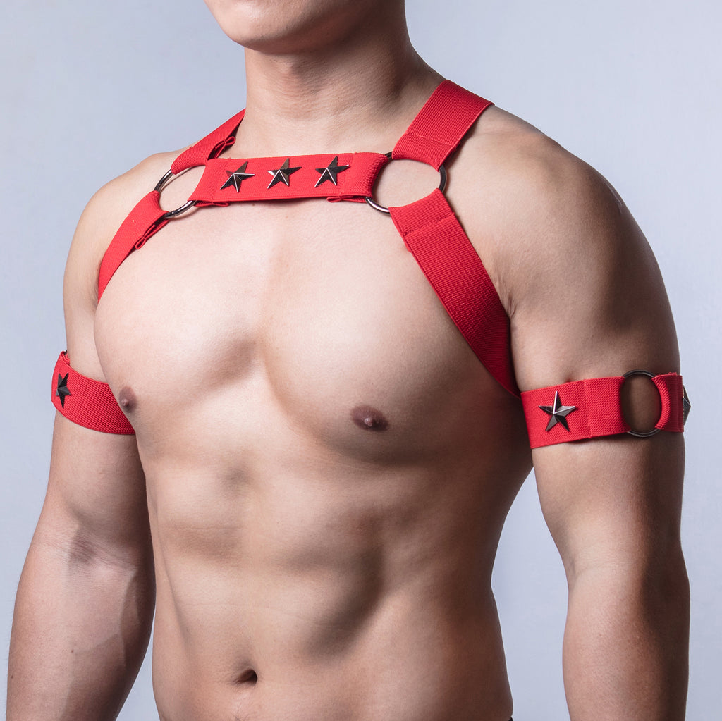 AJ Party King Classic Red Harness