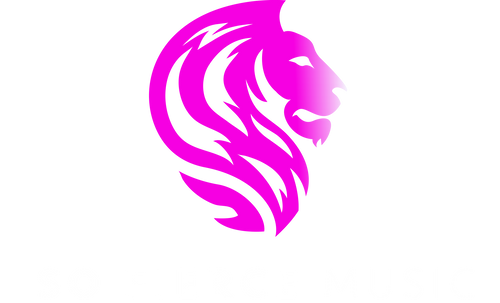 SO FIERCE Music / Velvet Code logo